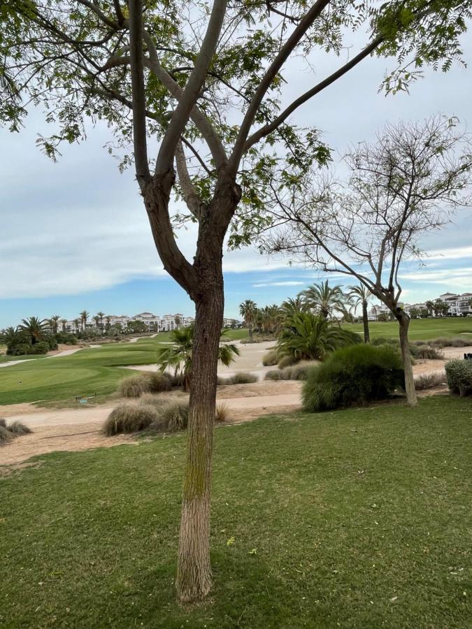 Apartamento De Lujo En Planta Baja Con Piscina En La Torre Golf Resort Roldán المظهر الخارجي الصورة
